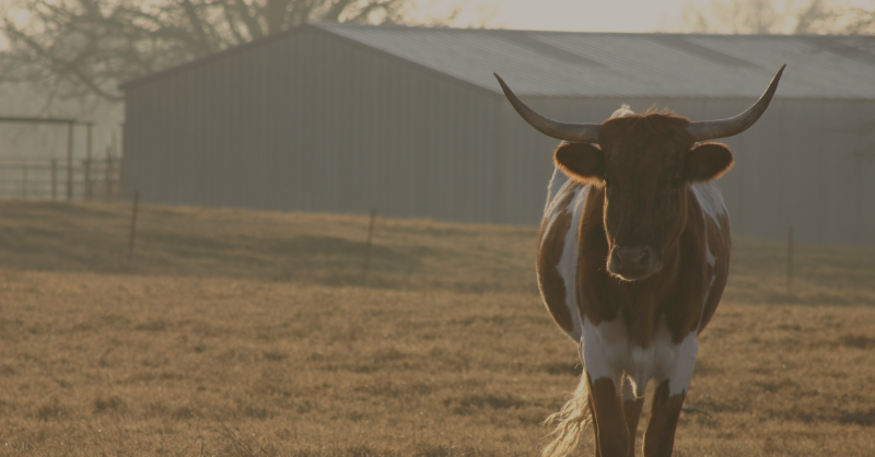 Board approves plan opposing reservoir for at least 50 years | Five-hour public hearing set April 15 in Mount Pleasant