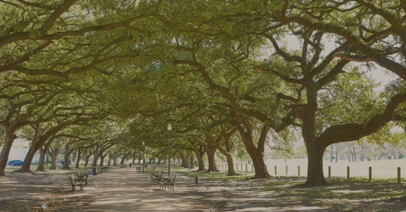 New Northeast Texas coalition aims to stop Marvin Nichols Reservoir project