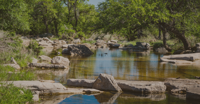 Marvin Nichols–Just Say No