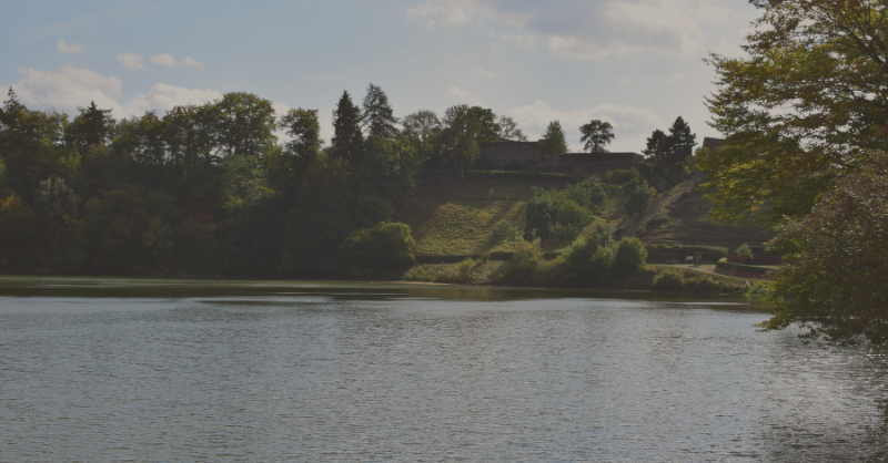 Press Release- More Than 1,000 Texans sign petition to Stop Marvin Nichols!