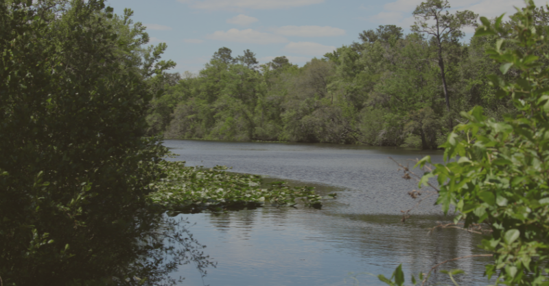 Cass County Passed Resolution in 2021 Opposing the Marvin Nichols Reservoir