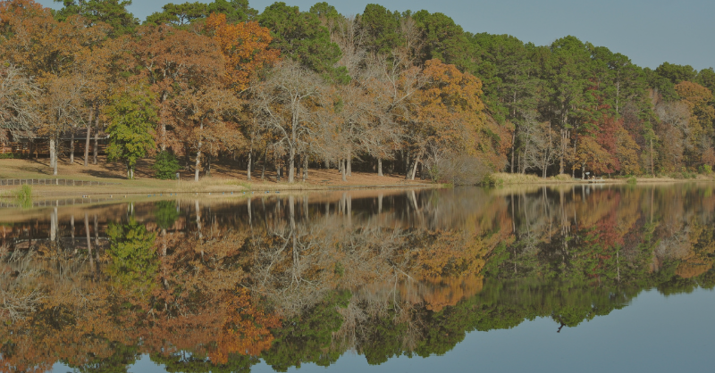 Marvin Nichols opposition continues fight