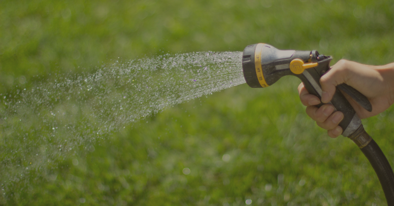Y’all-itics Podcast: Watering Lawns in Dallas Might Require Flooding Farms in East Texas